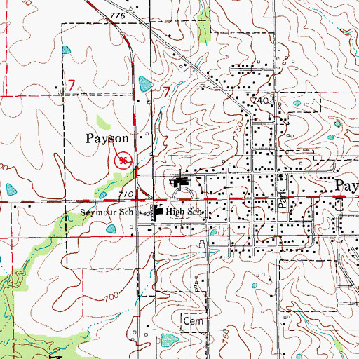 Topographic Map of Seymour Elementary School, IL