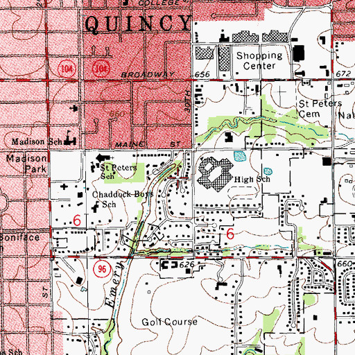 Topographic Map of Woodlawn Court, IL