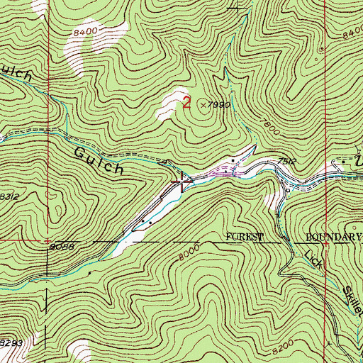 Topographic Map of Spring Gulch, CO