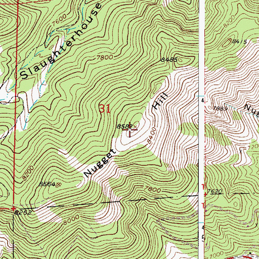 Topographic Map of Nugget Hill, CO