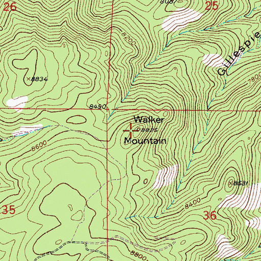 Topographic Map of Walker Mountain, CO