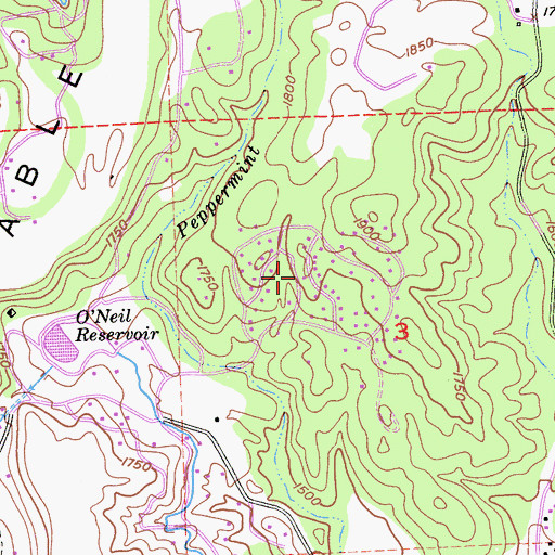 Topographic Map of Peppermint Creek, CA