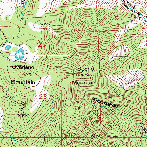 Topographic Map of Bueno Mountain, CO