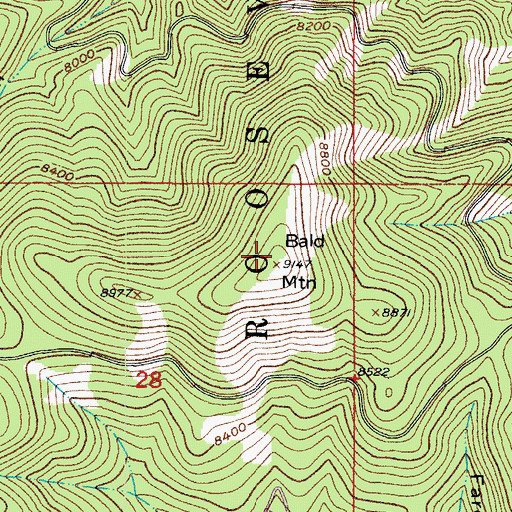 Topographic Map of Bald Mountain, CO
