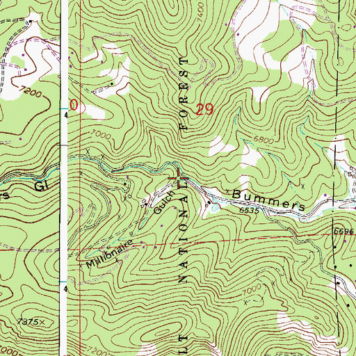 Topographic Map of Millionaire Gulch, CO