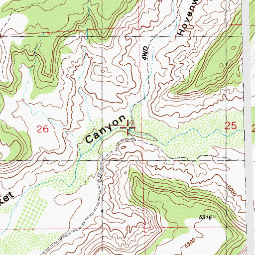 Topographic Map of Hovenweep Canyon, CO