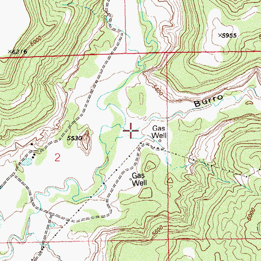 Topographic Map of Burro Canyon, CO