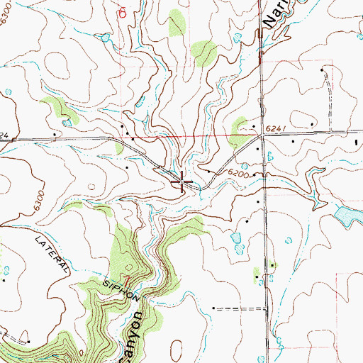 Topographic Map of Narraguinnep Canyon, CO