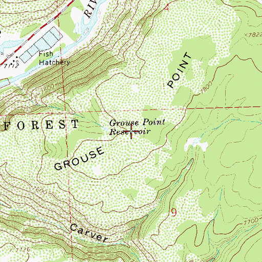 Topographic Map of Grouse Point, CO
