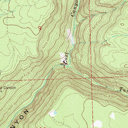 Topographic Map of Turkey Creek, CO
