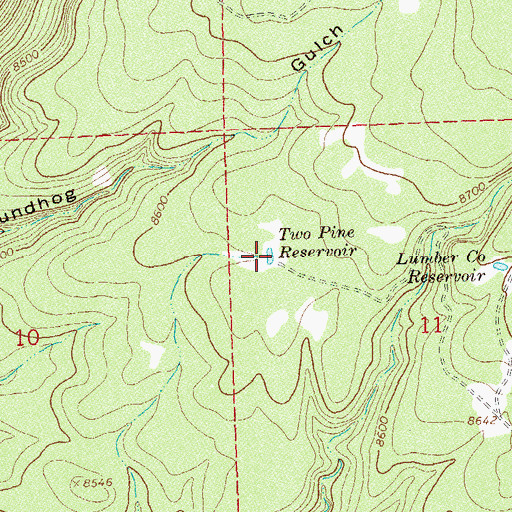 Topographic Map of Two Pine Reservoir, CO