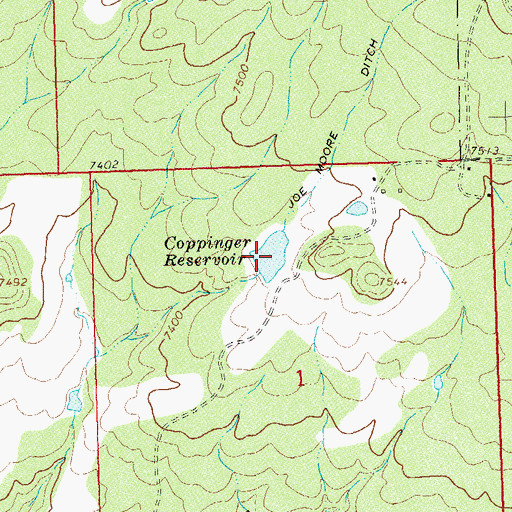 Topographic Map of Coppinger Reservoir, CO