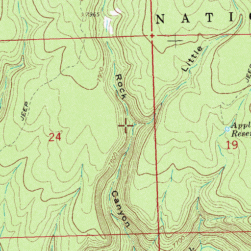 Topographic Map of Little Buck Canyon, CO