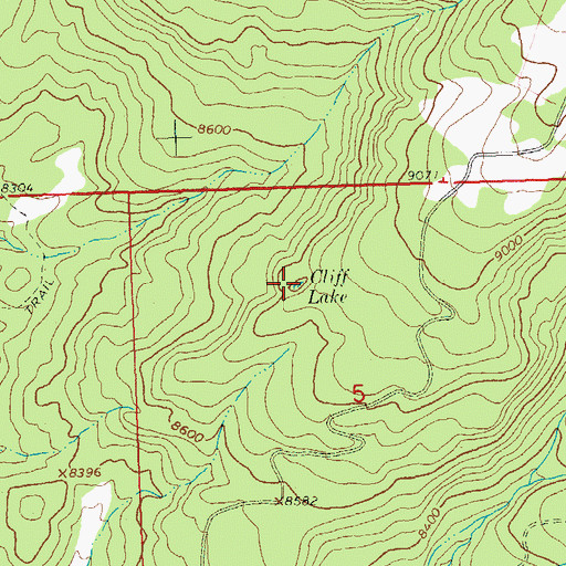 Topographic Map of Cliff Lake, CO