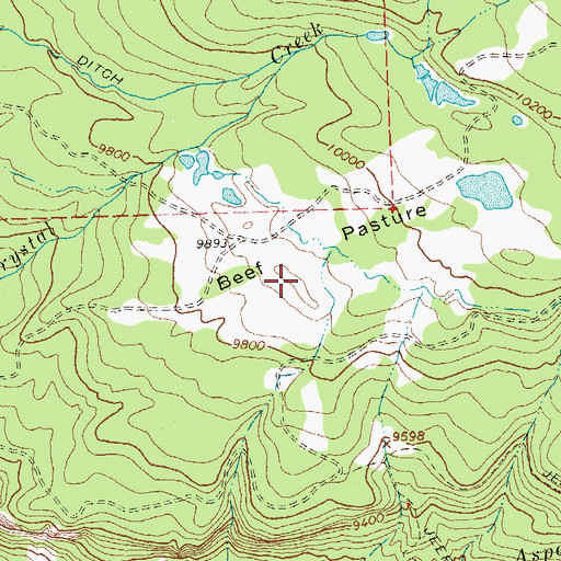 Topographic Map of Beef Pasture, CO