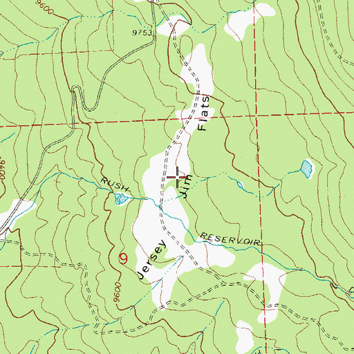 Topographic Map of Jersey Jim Flats, CO