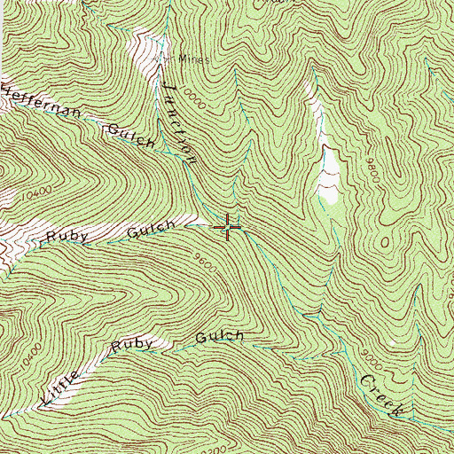 Topographic Map of Ruby Gulch, CO