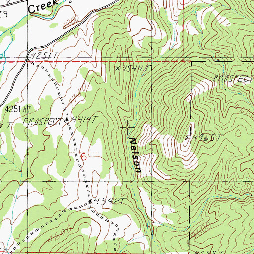 Topographic Map of Nelson Gulch (historical), MT