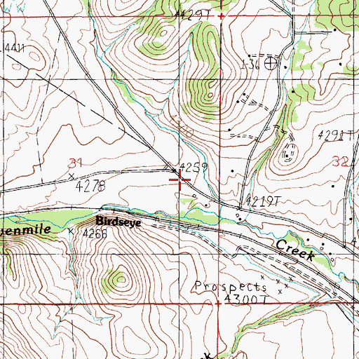 Topographic Map of Birdseye (historical), MT