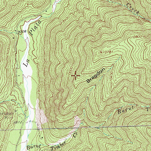 Topographic Map of Bradgon Ridge, CO