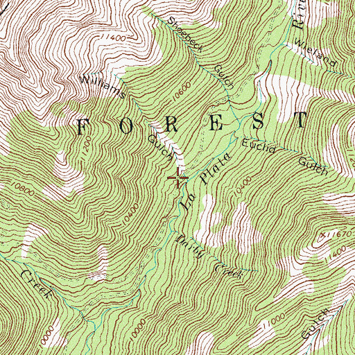 Topographic Map of Williams Gulch, CO