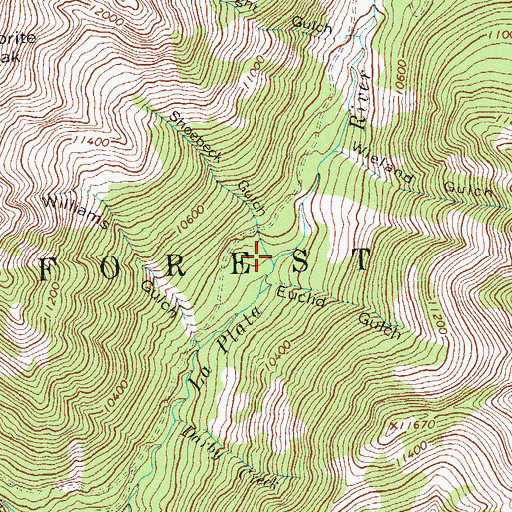 Topographic Map of Shoebeck Gulch, CO