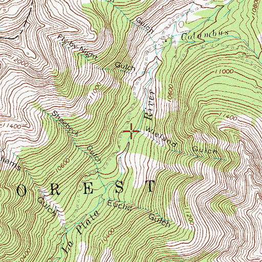 Topographic Map of Wieland Gulch, CO