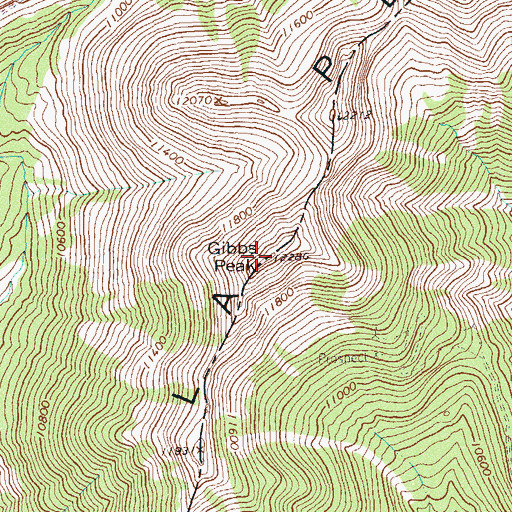 Topographic Map of Gibbs Peak, CO