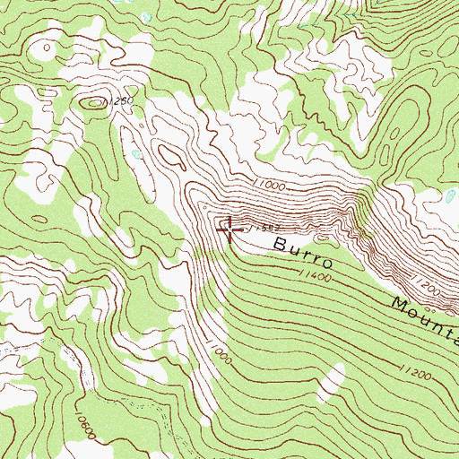Topographic Map of Burro Mountain, CO