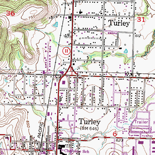 Topographic Map of True Holiness Church, OK