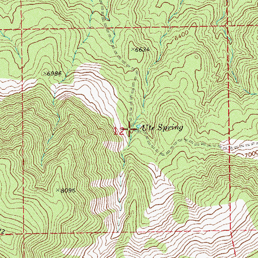 Topographic Map of Ute Spring, CO
