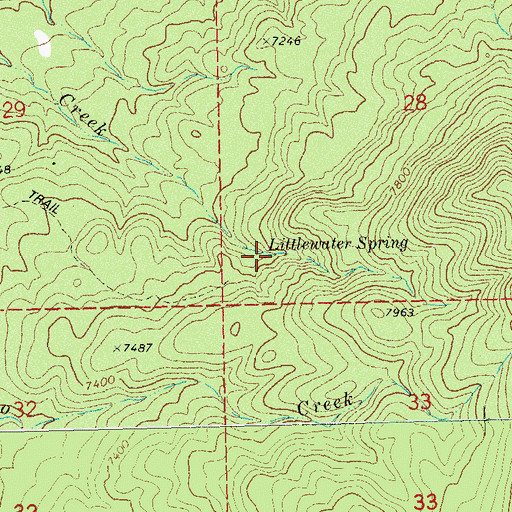 Topographic Map of Littlewater Spring, CO