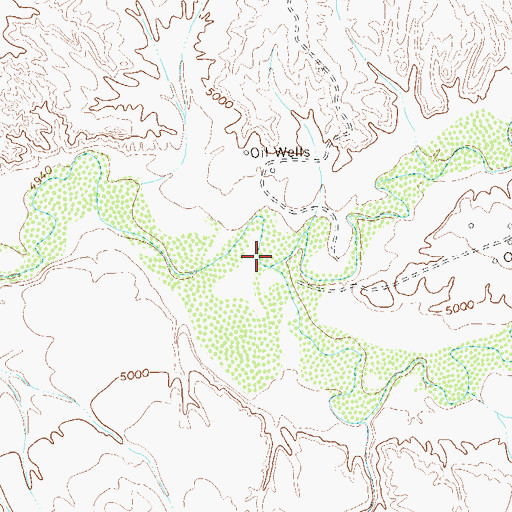 Topographic Map of Navajo Wash, CO