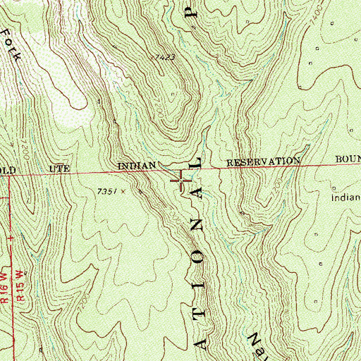 Topographic Map of East Fork Navajo Canyon, CO
