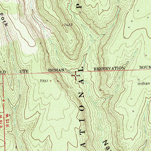 Topographic Map of West Fork Navajo Canyon, CO
