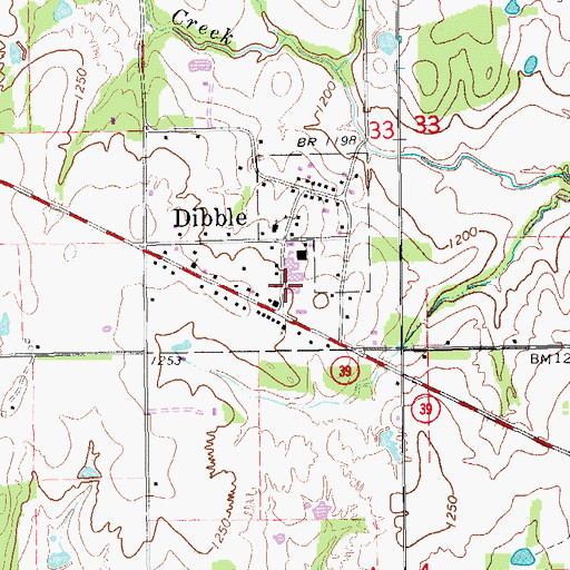Topographic Map of Dibble Elementary School, OK