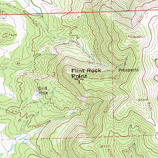 Topographic Map of Flint Rock Point, CO