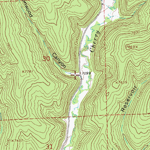 Topographic Map of Cottonwood Canyon, CO