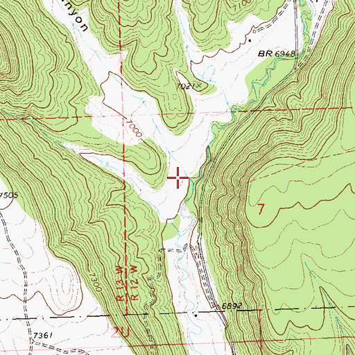 Topographic Map of Flat Canyon, CO