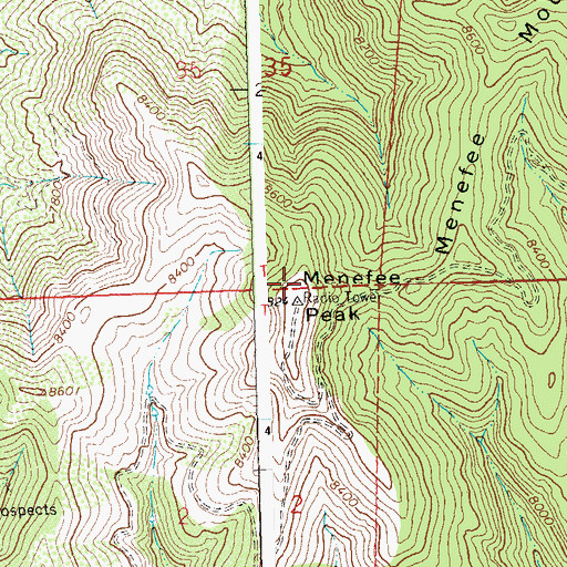 Topographic Map of Menefee Peak, CO