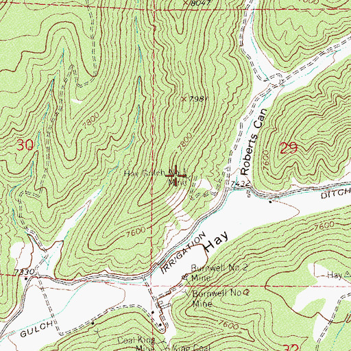 Topographic Map of Hay Gulch Mine Number 1, CO