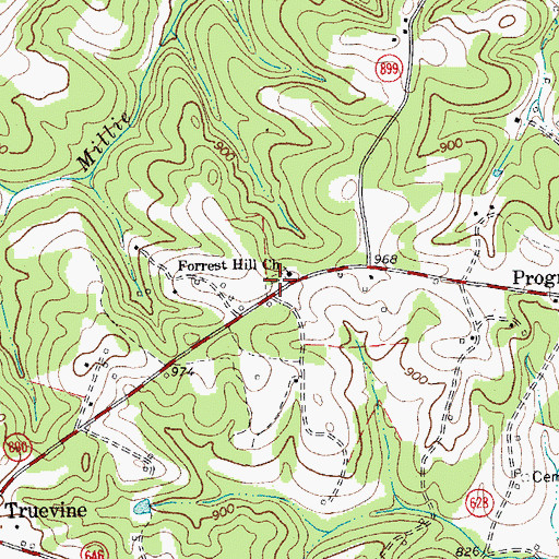 Topographic Map of Forest Hill Cemetery, VA