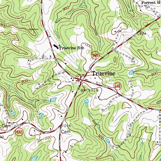 Topographic Map of Truevine Cemetery, VA