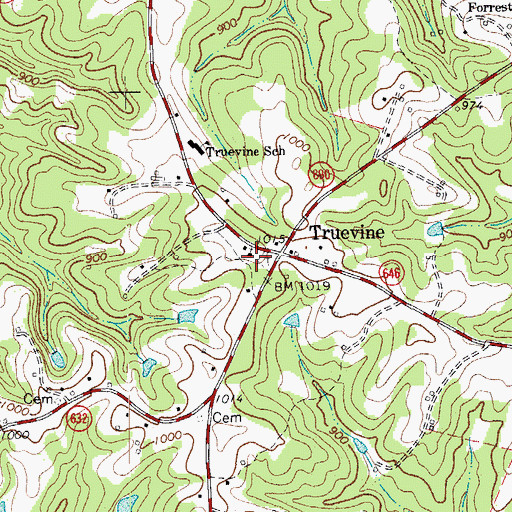Topographic Map of Truevine Church, VA