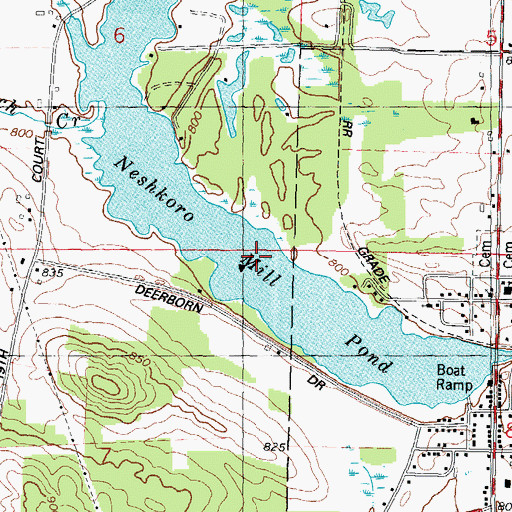Topographic Map of Neshkoro Mill Pond, WI