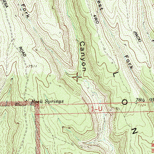 Topographic Map of West Fork Long Canyon, CO