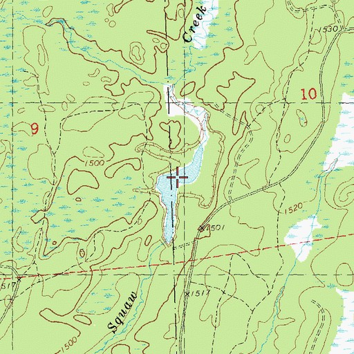 Topographic Map of Lower Squaw Creek Flowage, WI