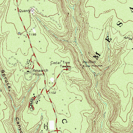 Topographic Map of Cedar Tree Tower, CO