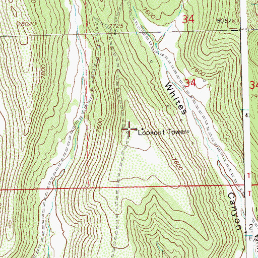 Topographic Map of Whites Mesa, CO