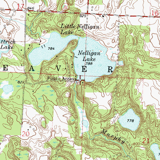 Topographic Map of Nelligan Lake, WI